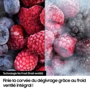 Réfrigérateur SAMSUNG RH65DG54R3B1 (Réfrigérateur side by side, Réfrigérateur américain)