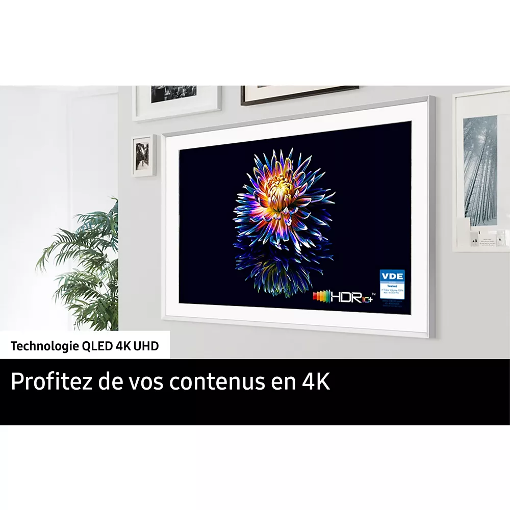 Un téléviseur SAMSUNG TQ43LS03B affiche une fleur vibrante sur son écran, montée sur un mur blanc au milieu d'œuvres d'art encadrées.