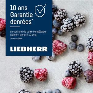 Des baies congelées sont posées sur une surface claire à côté d'une boîte bleue LIEBHERR FND7227-22 portant l'inscription "10 ans Garantie denrées*".
