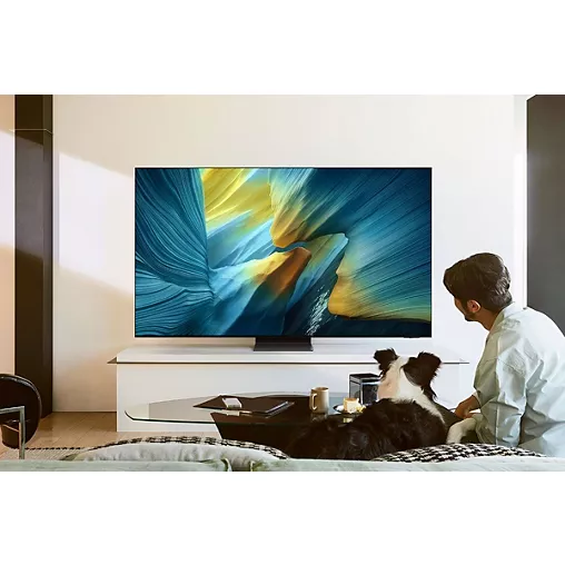 Une personne et un chien se détendent sur un canapé, regardant des images vibrantes sur le téléviseur SAMSUNG TQ65S95F.