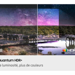 Une comparaison d'images côte à côte de SDR et HDR+ sur le SAMSUNG TQ65QN90F, mettant en vedette des éléphants près d'un point d'eau, montre que le côté HDR+ apparaît beaucoup plus lumineux et plus vibrant.