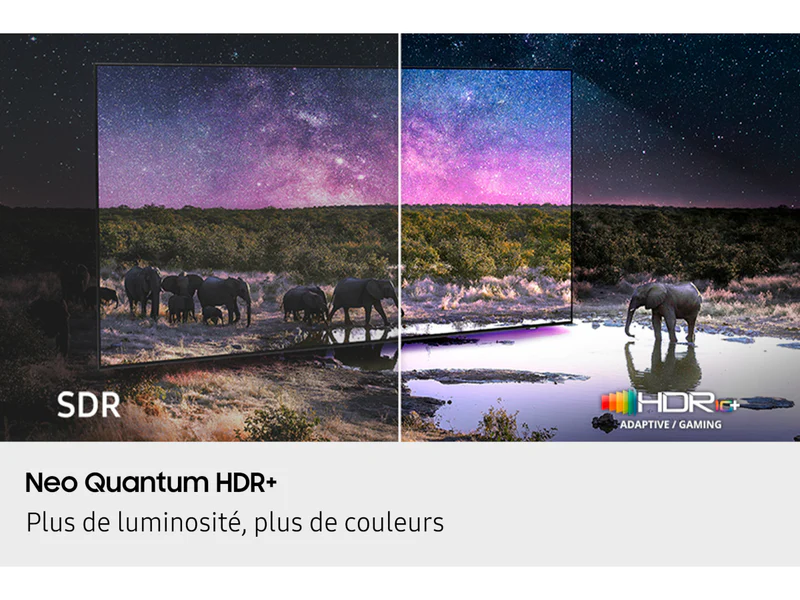 Une comparaison d'images côte à côte de SDR et HDR+ sur le SAMSUNG TQ65QN90F, mettant en vedette des éléphants près d'un point d'eau, montre que le côté HDR+ apparaît beaucoup plus lumineux et plus vibrant.