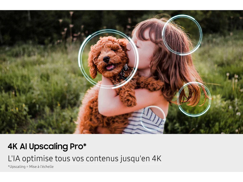 Une jeune fille serre dans ses bras son petit chien brun à l'extérieur, avec des cercles numériques montrant des effets de mise à l'échelle, idéal pour l'affichage sur le téléviseur SAMSUNG TQ65QN90F 65 pouces.