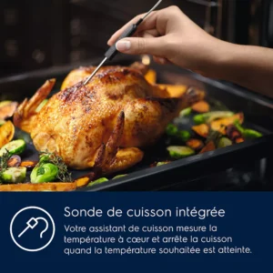 Une main utilise un thermomètre à viande pour vérifier le poulet rôti avec des légumes dans un four ELECTROLUX COD6P46X0 (Copie).