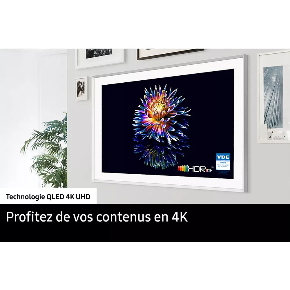 Un téléviseur SAMSUNG TQ55LS03F THE FRAME fixé au mur affiche une fleur éclatante avec la mention "Profitez de vos contenus en 4K" en dessous.