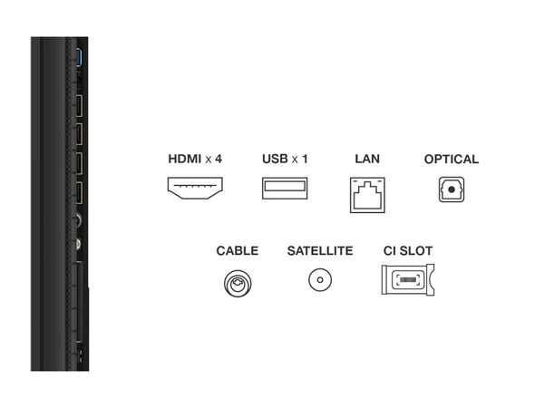 Vue du côté gauche des ports du TCL 55P8K : 4 HDMI, 1 USB, LAN, optique, câble, satellite et emplacement CI - chacun clairement identifié par des icônes.
