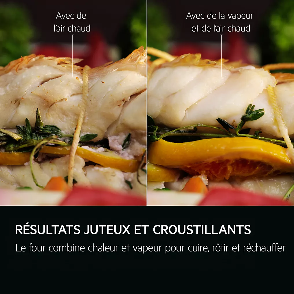 Deux filets de poisson cuits, l'un à l'air chaud avec le sèche-linge AEG TR7PB731SB, l'autre à la vapeur, servis avec herbes et légumes.