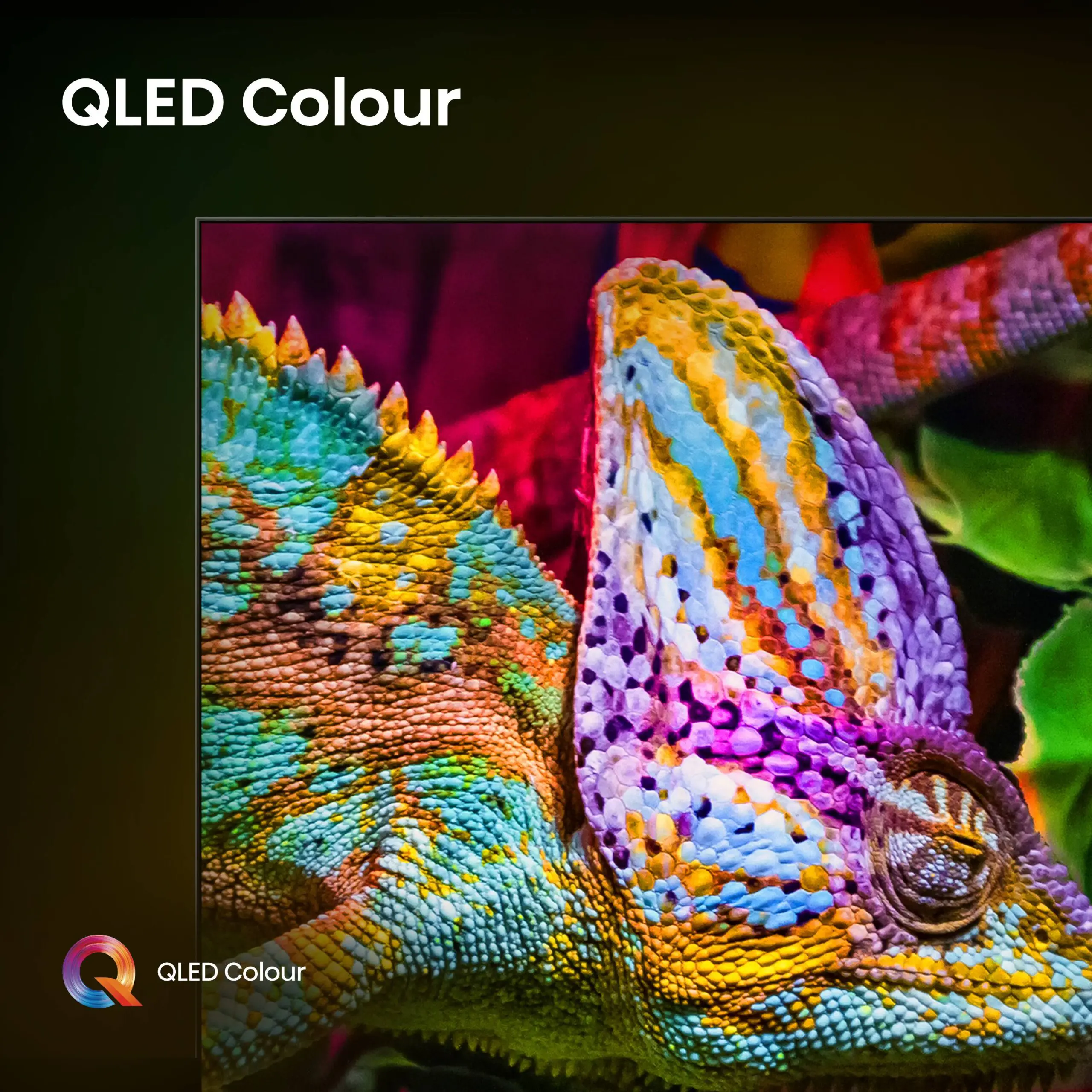 Un gros plan vibrant d'un caméléon met en valeur ses écailles colorées, avec "QLED Colour" et le HISENSE 100U7Q PRO affichés au-dessus.