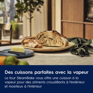 ELECTROLUX EOD6P66X