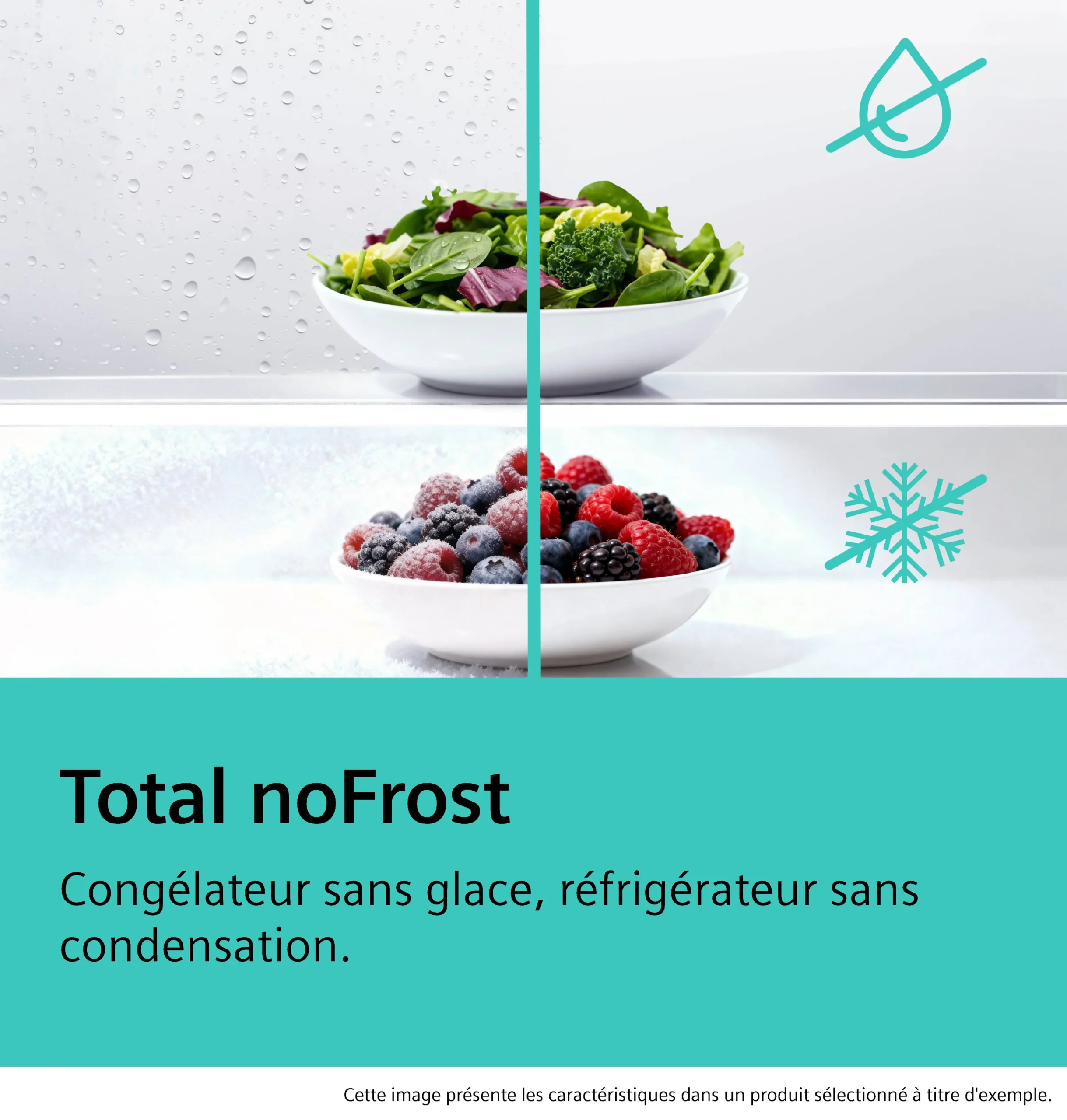 Les salades fraîches et les baies restent parfaitement fraîches sans givre ni condensation dans le réfrigérateur SIEMENS KG49NEICU.