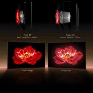 La comparaison d'images de fleurs rouges plus claires et plus floues sur le TCL 98C8K met en évidence les différences d'épaisseur et de technologie de l'écran.