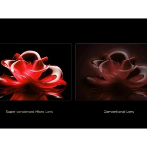 Comparaison côte à côte d'une fleur capturée avec le micro-objectif net du TCL 98C8K et un objectif conventionnel flou.