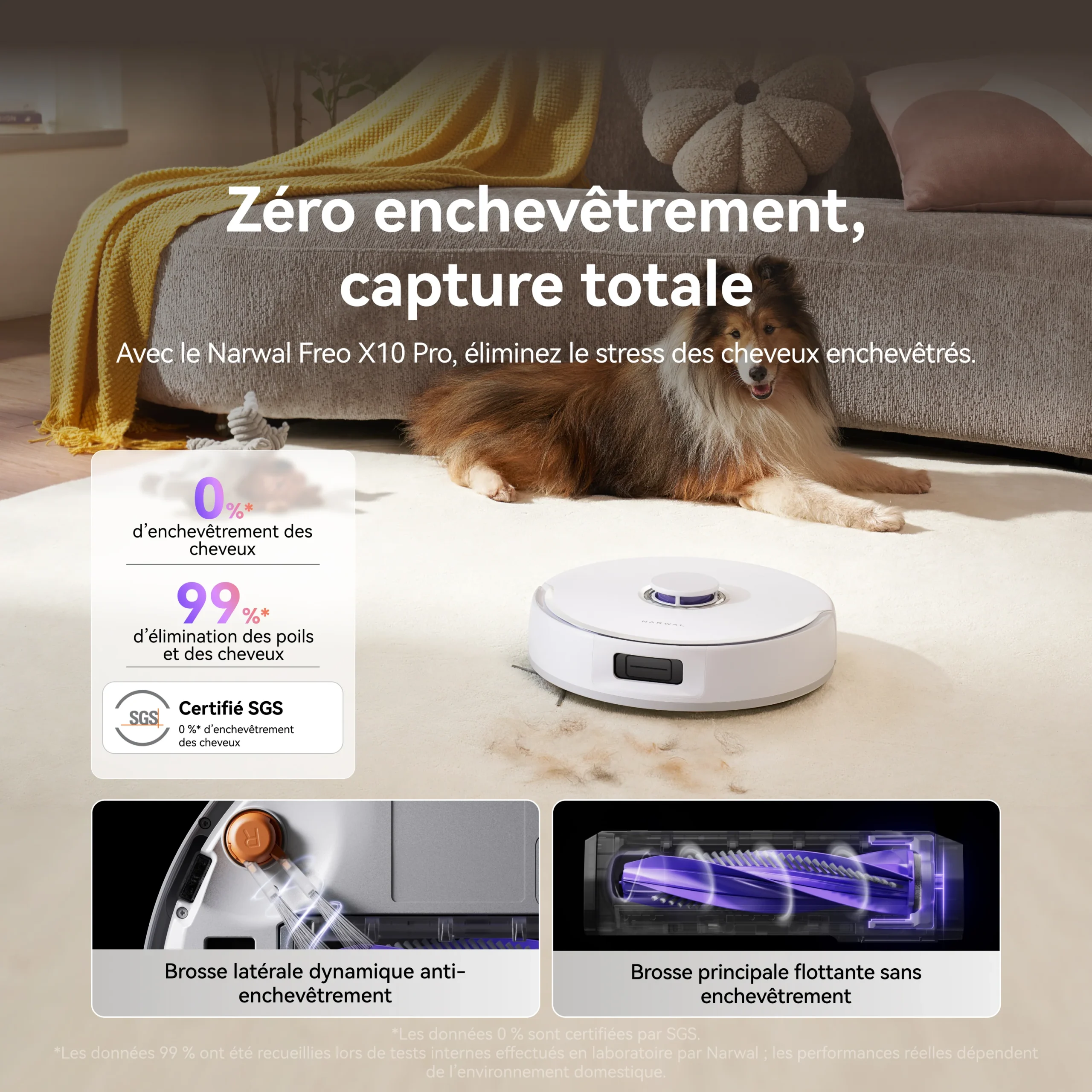 L'aspirateur robot NARWAL FREO X10 PRO nettoie efficacement un tapis à côté d'un chien, mettant en avant sa technologie de nettoyage intelligente et sa capacité à éliminer les cheveux et les poils d'animaux.