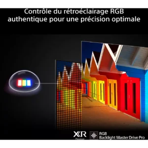 Découvrez la précision de l'image TRUE avec le SONY K-65XR7M2 TRUE, doté d'une illustration de maison colorée et d'un contrôle précis du rétroéclairage RVB.