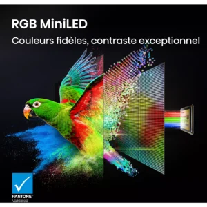 Un perroquet vibrant aux couleurs de l'arc-en-ciel met en valeur la technologie d'affichage MiniLED RVB du HISENSE 65UR9S RGB, offrant un contraste de couleurs exceptionnel.