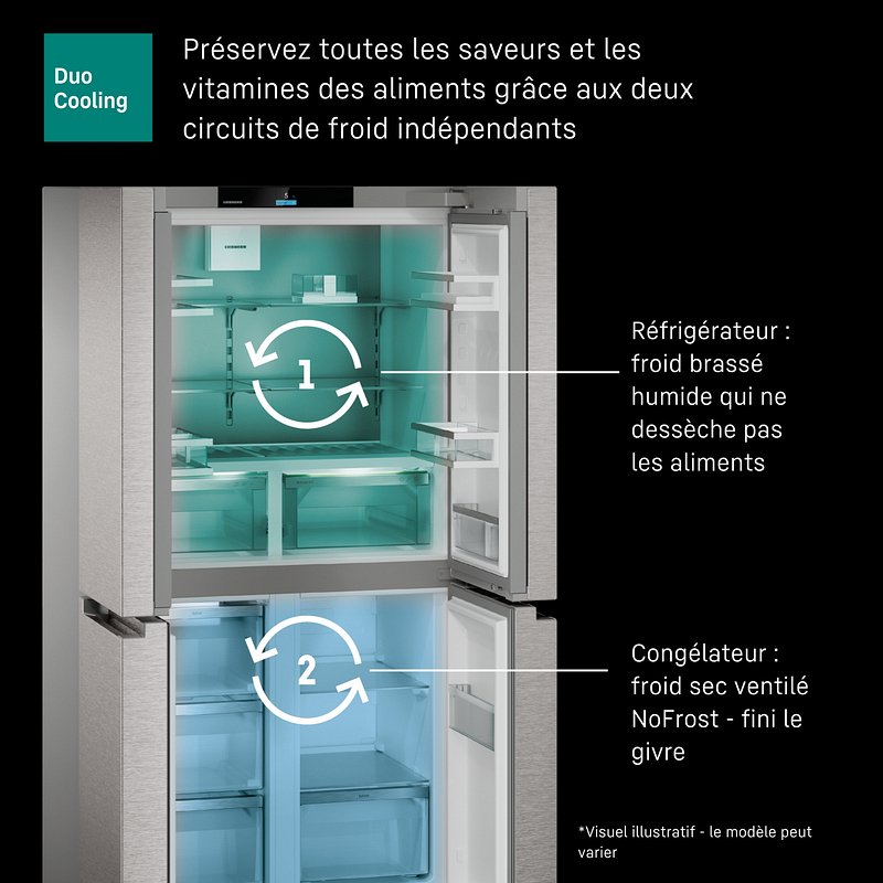 Réfrigérateur LIEBHERR MBSDDI9524-20 ouvert, dévoilant deux zones de refroidissement, identifiées comme « réfrigérateur » et « congélateur », avec des étiquettes en français.
