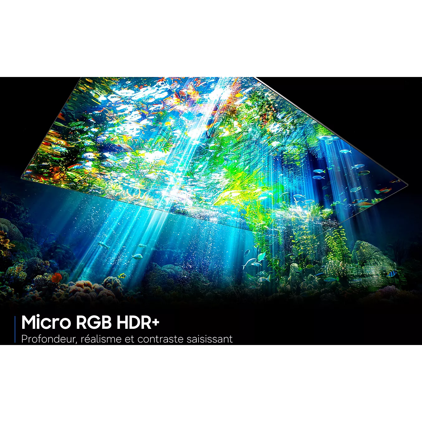 Découvrez un univers sous-marin plein de vie, peuplé de poissons colorés et de rayons de lumière, rendu plus vivant que jamais grâce à la technologie d'affichage avancée Micro RGB HDR+ du SAMSUNG TMR75R85H.