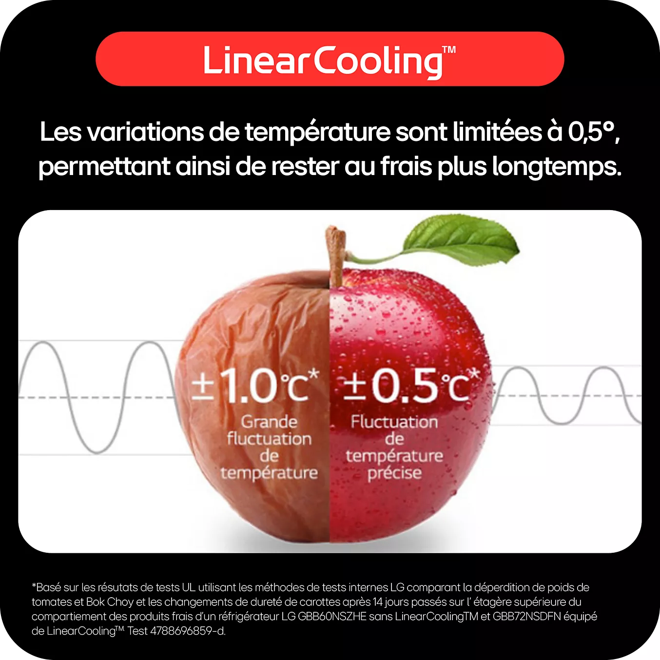 Une pomme rouge reste à moitié fraîche et à moitié abîmée lorsque la température varie de +1,0 °C et +0,5 °C, ce qui démontre la précision des performances de refroidissement du LG GBV3200DPY.