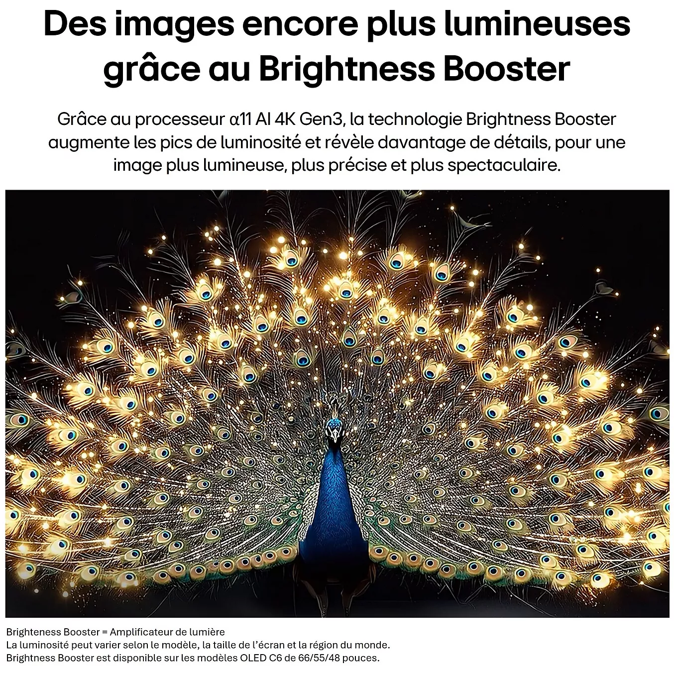 Le LG OLED77C6 offre des couleurs vives et éclatantes, à l'image des plumes chatoyantes d'un paon, avec des points lumineux qui enrichissent l'expérience visuelle.