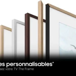 Quatre cadres personnalisables disponibles en plusieurs couleurs, conçus pour le téléviseur SAMSUNG TQ65LS03HW, avec un motif représentant des oiseaux en vol partiellement visible sur la droite.
