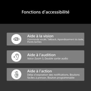 Les fonctionnalités d'accessibilité — telles que les options d'aide à la vue, à l'audition et à la mobilité — sont présentées en français et accompagnées d'icônes correspondantes afin de faciliter la navigation sur votre téléviseur SONY K-65XR95M2 True RGB, qui intègre la technologie d'affichage avancée True RGB.
