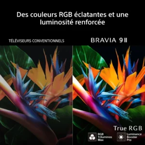 Image en deux parties : à gauche, une fleur d'oiseau de paradis aux couleurs ternes ; à droite, une explosion de couleurs vives sous le texte « True RGB » — découvrez une transformation époustouflante avec le SONY K-65XR95M2 True RGB.