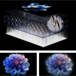 Schéma illustrant la structure en couches de l'écran du TCL 43P7L, présentant un gros plan de ses pixels et, en dessous, deux fleurs bleu-violet lumineuses.