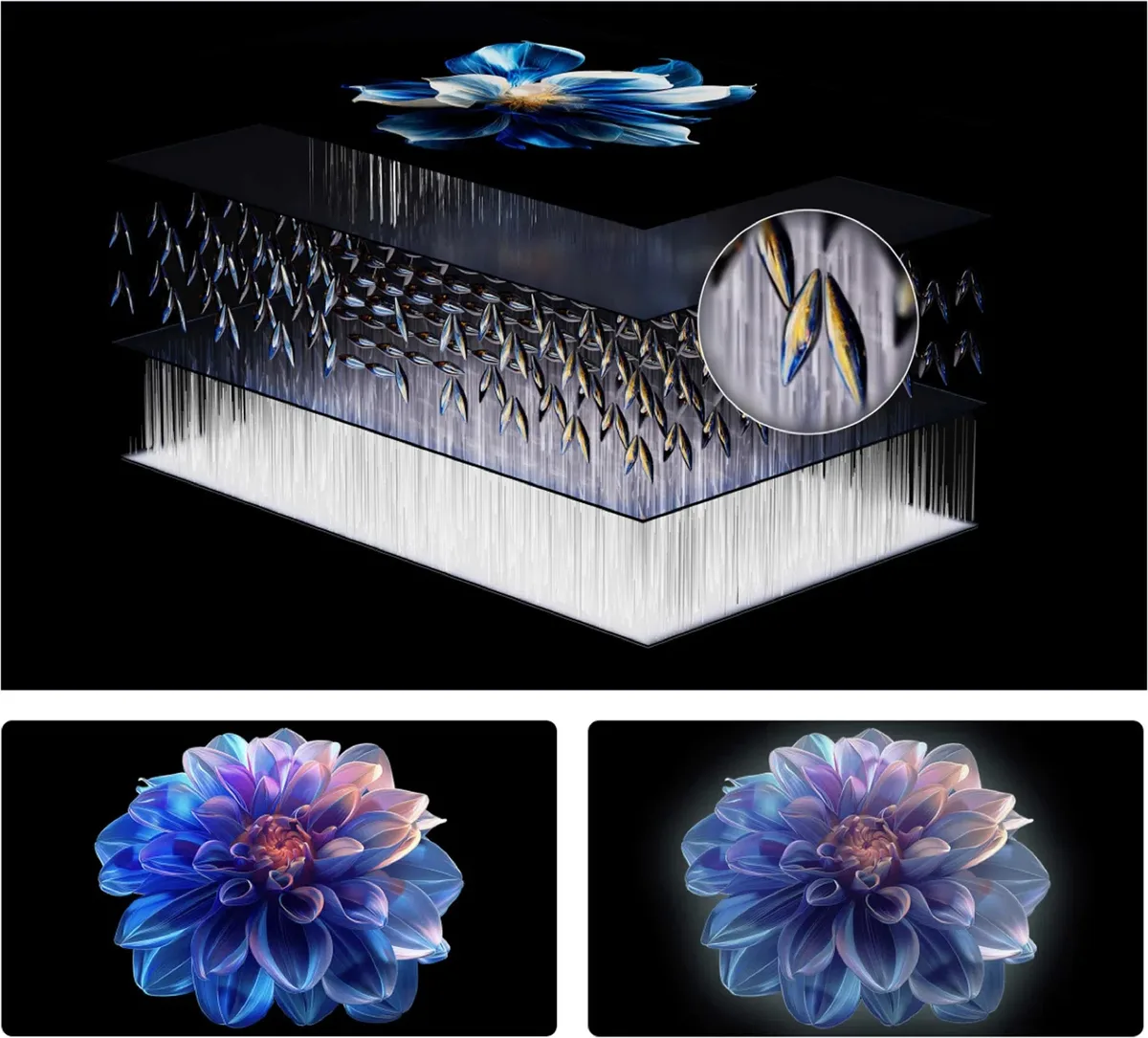 Schéma illustrant la structure en couches de l'écran du TCL 43P7L, présentant un gros plan de ses pixels et, en dessous, deux fleurs bleu-violet lumineuses.